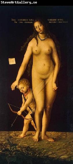 Lucas Cranach the Elder Venus and Cupid